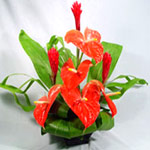 Hawaiian Tropical Flower Bouquets