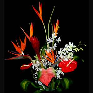 I Love Hawaii - Aloha Hawaiian Flowers