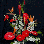 Hawaiian Flowers of the Month Club