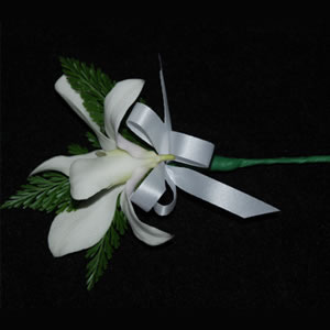 1 Blossom Dendrobium Boutonniere