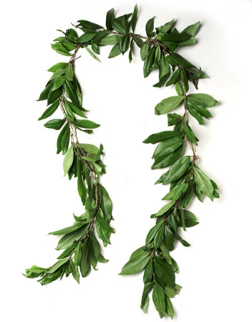 Green Hawaiian Lei