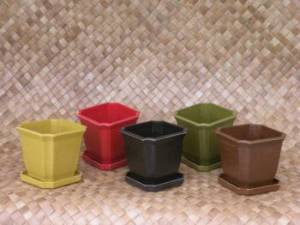 Eco Pots