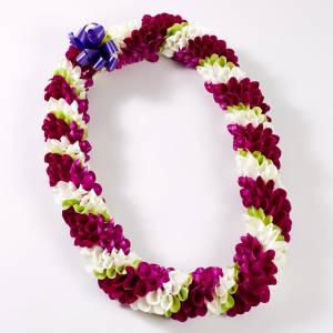 Fresh Dahlia Lei