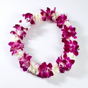 Fresh Double Purple Orchid and Tuberose Lei