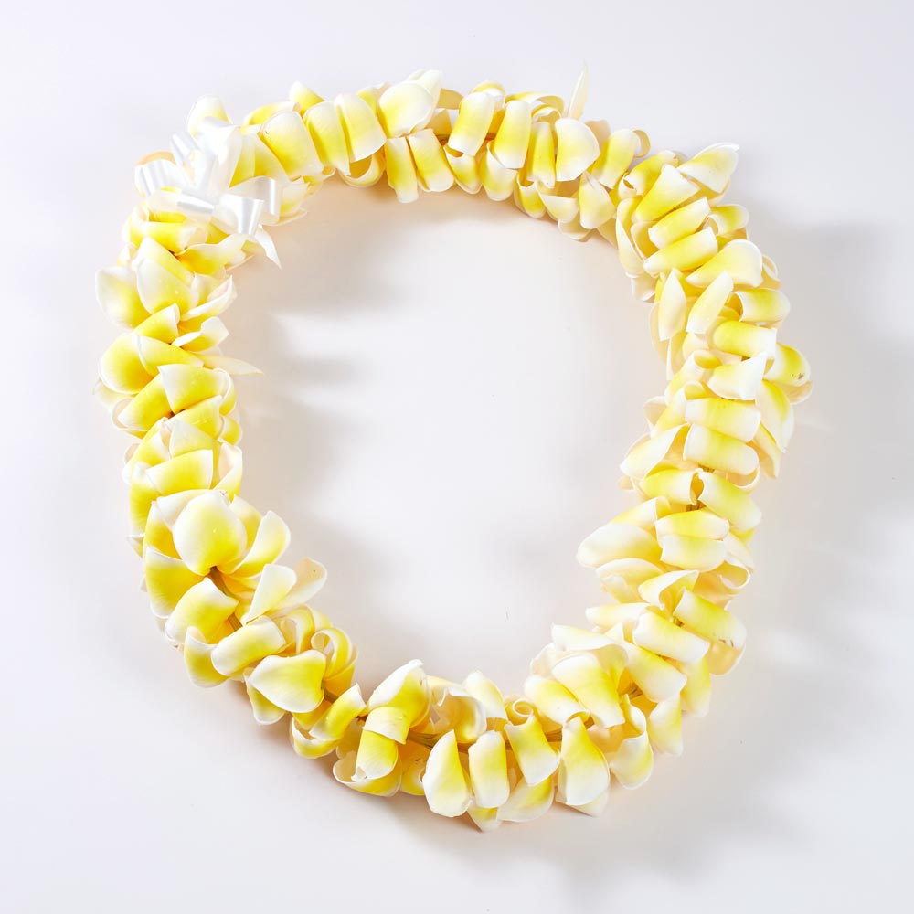 Fresh Double Yellow Orchid Lei Aloha Hawaiian Flowers