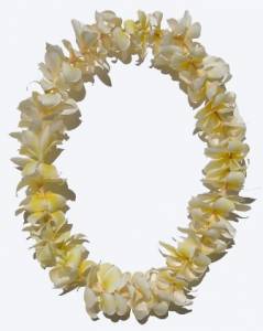 Single Plumeria Lei - set of 4 leis