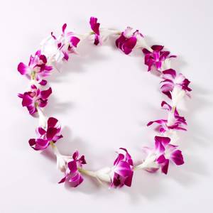 Fresh Dendrobium Orchid and Tuberose Lei