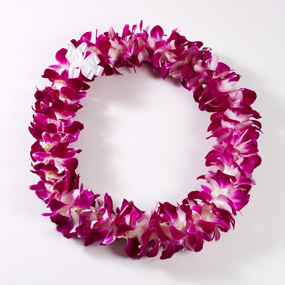 Fresh Deluxe Dendrobium Orchid Lei Aloha Hawaiian Flowers