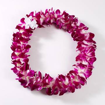 Fresh Deluxe Dendrobium Orchid Lei