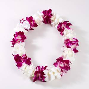 Fresh Double Dendrobium Orchid Lei