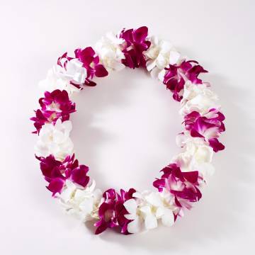 Fresh Double Dendrobium Orchid Lei