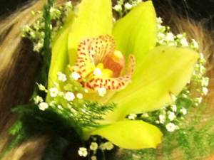 Green Cymbidium Orchid Hairpiece