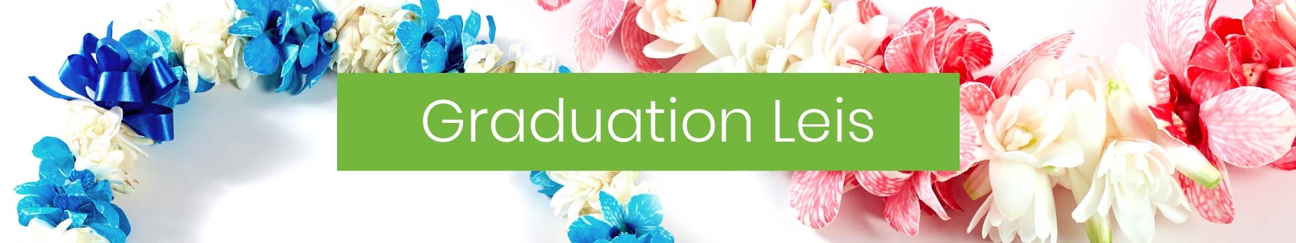 Graduation Leis