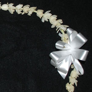 Fresh Fragrant Pikake Lei