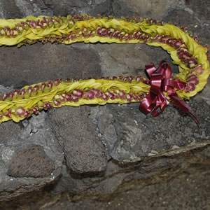 Fresh Pikki Lei