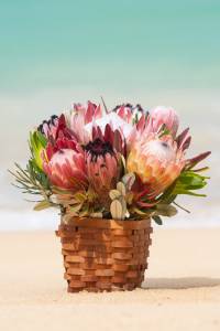 Classic Hawaii Protea Bouquet