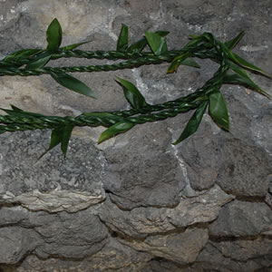 Fresh Ti Leaf Double Strand Lei