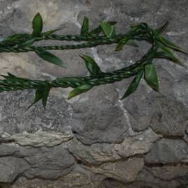 Fresh Ti Leaf Double Strand Lei
