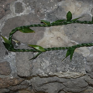 Fresh Ti Leaf Single Strand Lei