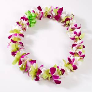 Fresh tri color purple green and white orchid lei